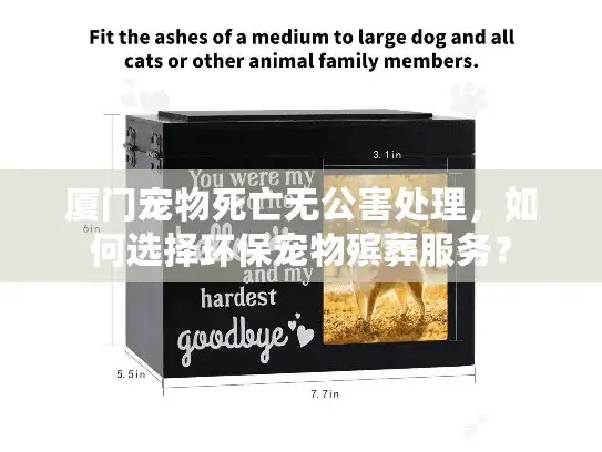 厦门宠物死亡无公害处理，如何选择环保宠物殡葬服务？