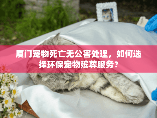 厦门宠物死亡无公害处理，如何选择环保宠物殡葬服务？