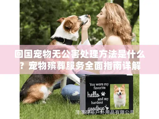 回国宠物无公害处理方法是什么？宠物殡葬服务全面指南详解
