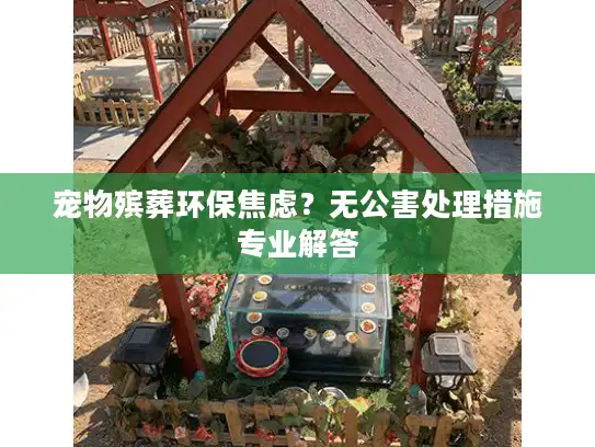 宠物殡葬环保焦虑？无公害处理措施专业解答