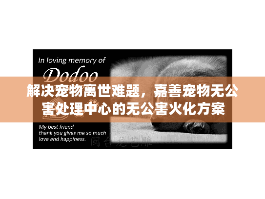 解决宠物离世难题，嘉善宠物无公害处理中心的无公害火化方案