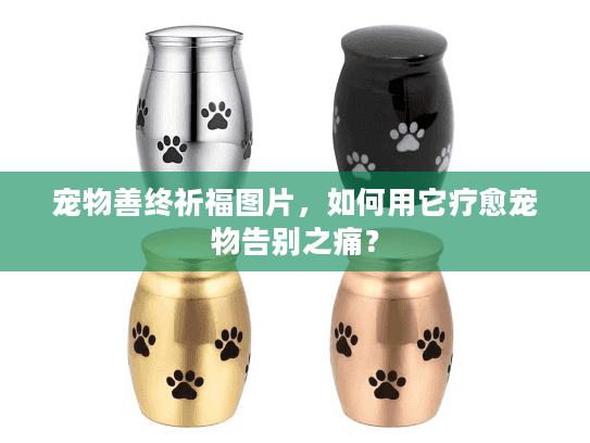 宠物善终祈福图片，如何用它疗愈宠物告别之痛？