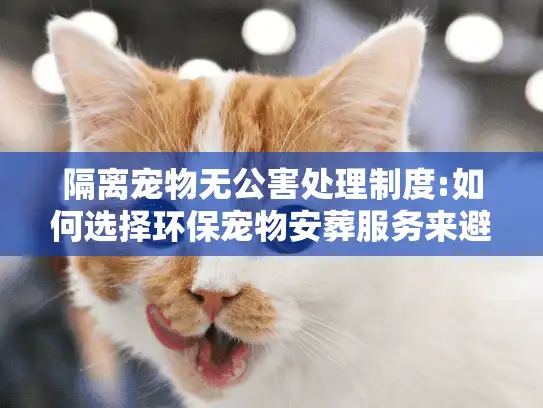 隔离宠物无公害处理制度:如何选择环保宠物安葬服务来避免污染风险? 隔离宠物无公害处理制度:如何选择环保宠物安葬服务来避免污染风险?