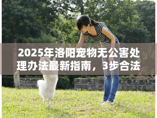 2025年洛阳宠物无公害处理办法最新指南，3步合法送别爱宠