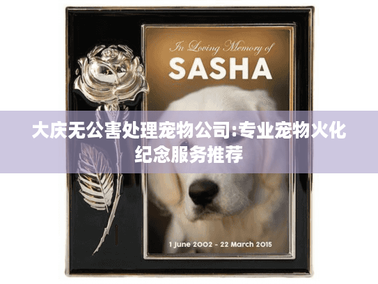 大庆无公害处理宠物公司:专业宠物火化纪念服务推荐 大庆无公害处理宠物公司:专业宠物火化纪念服务推荐