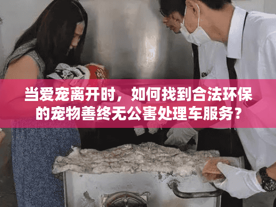 当爱宠离开时，如何找到合法环保的宠物善终无公害处理车服务？