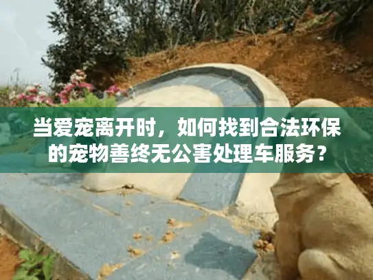 当爱宠离开时，如何找到合法环保的宠物善终无公害处理车服务？