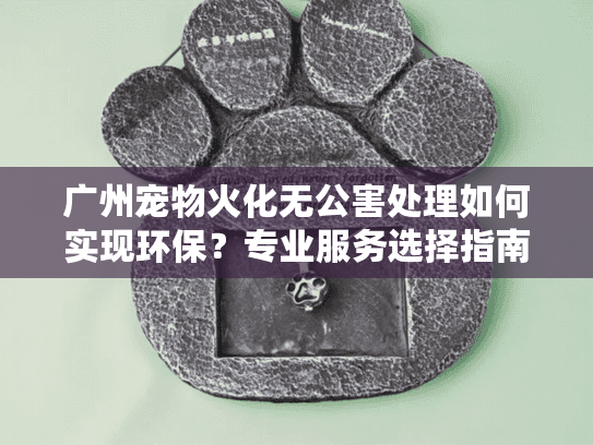 广州宠物火化无公害处理如何实现环保？专业服务选择指南