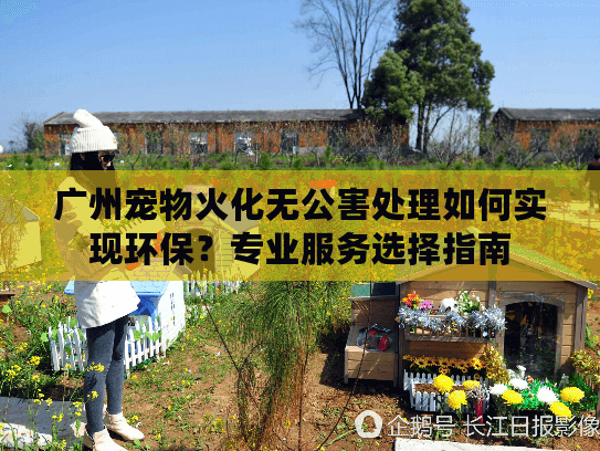 广州宠物火化无公害处理如何实现环保？专业服务选择指南