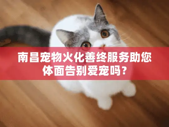 南昌宠物火化善终服务助您体面告别爱宠吗？