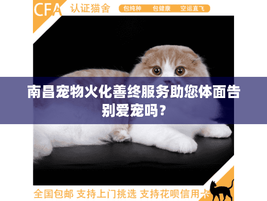 南昌宠物火化善终服务助您体面告别爱宠吗？