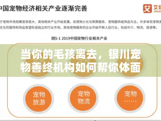 当你的毛孩离去，银川宠物善终机构如何帮你体面告别？