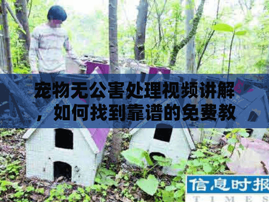 宠物无公害处理视频讲解，如何找到靠谱的免费教程资源？