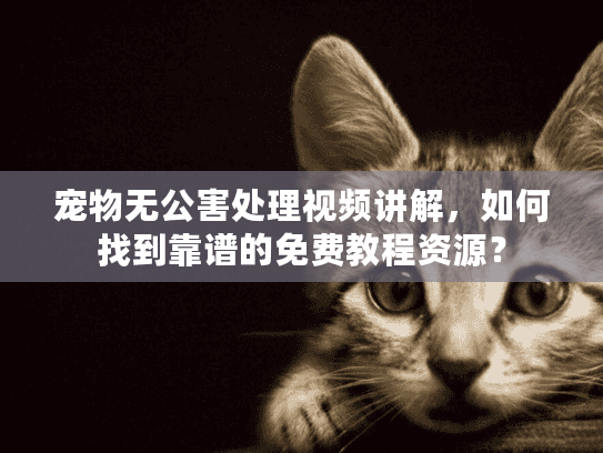 宠物无公害处理视频讲解，如何找到靠谱的免费教程资源？