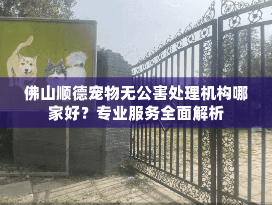佛山顺德宠物无公害处理机构哪家好？专业服务全面解析