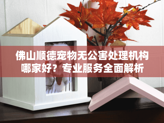 佛山顺德宠物无公害处理机构哪家好？专业服务全面解析
