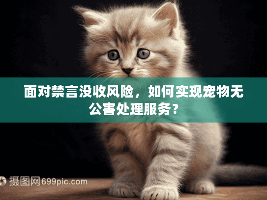 面对禁言没收风险，如何实现宠物无公害处理服务？