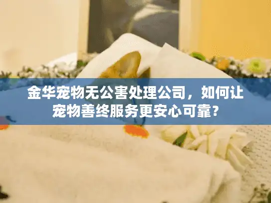 金华宠物无公害处理公司，如何让宠物善终服务更安心可靠？