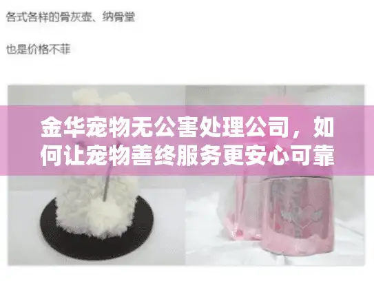 金华宠物无公害处理公司，如何让宠物善终服务更安心可靠？