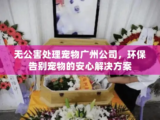 无公害处理宠物广州公司，环保告别宠物的安心解决方案