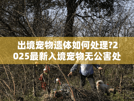 出境宠物遗体如何处理?2025最新入境宠物无公害处理办法指南 出境宠物遗体如何处理?2025最新入境宠物无公害处理办法指南