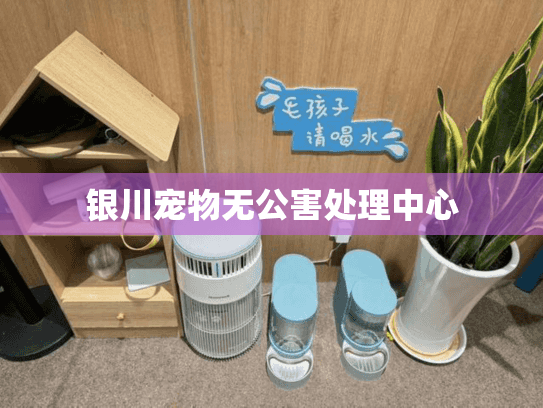 银川宠物无公害处理中心 银川宠物无公害处理中心