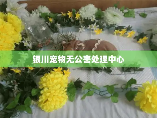 银川宠物无公害处理中心 银川宠物无公害处理中心