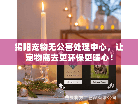 揭阳宠物无公害处理中心，让宠物离去更环保更暖心！