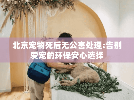 北京宠物死后无公害处理:告别爱宠的环保安心选择