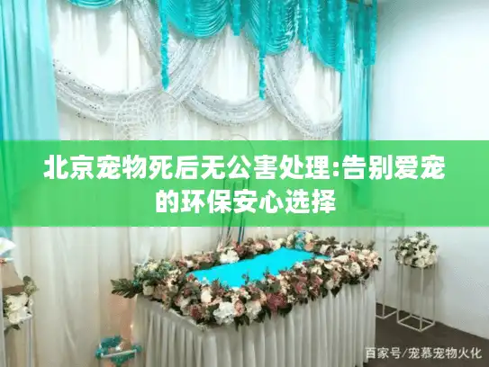 北京宠物死后无公害处理:告别爱宠的环保安心选择