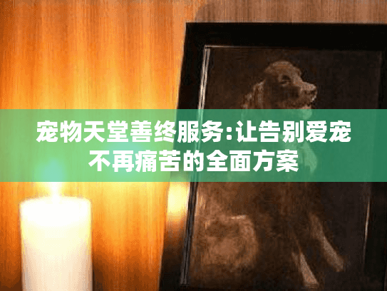 宠物天堂善终服务:让告别爱宠不再痛苦的全面方案 宠物天堂善终服务:让告别爱宠不再痛苦的全面方案