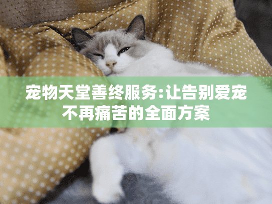 宠物天堂善终服务:让告别爱宠不再痛苦的全面方案 宠物天堂善终服务:让告别爱宠不再痛苦的全面方案
