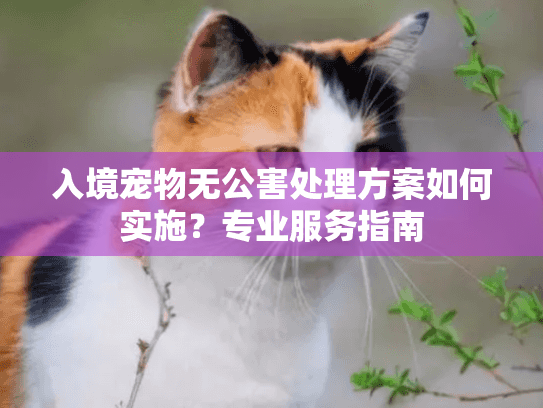 入境宠物无公害处理方案如何实施？专业服务指南