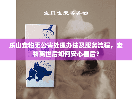 乐山宠物无公害处理办法及服务流程，宠物离世后如何安心善后？