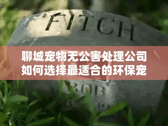聊城宠物无公害处理公司如何选择最适合的环保宠物殡葬服务？