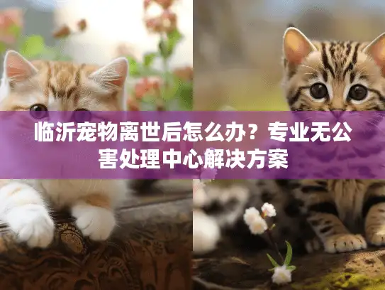 临沂宠物离世后怎么办？专业无公害处理中心解决方案