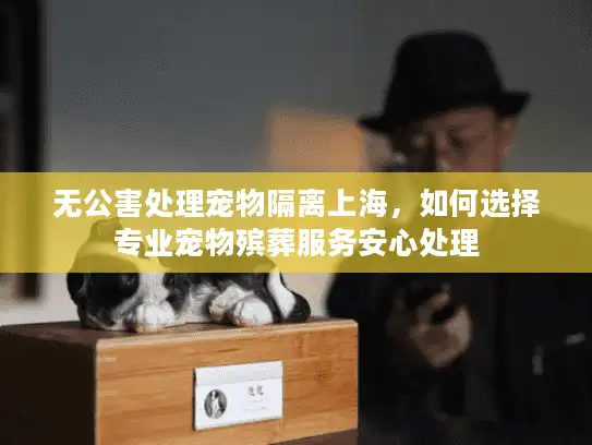 无公害处理宠物隔离上海,如何选择专业宠物殡葬服务安心处理 无公害处理宠物隔离上海,如何选择专业宠物殡葬服务安心处理