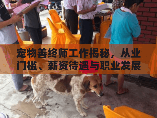 宠物善终师工作揭秘，从业门槛、薪资待遇与职业发展路径详解