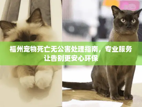 福州宠物死亡无公害处理指南，专业服务让告别更安心环保