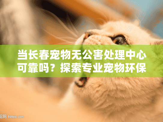 当长春宠物无公害处理中心可靠吗？探索专业宠物环保殡葬服务之道