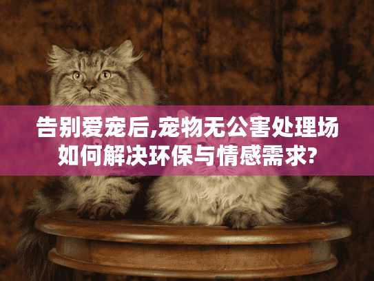 告别爱宠后,宠物无公害处理场如何解决环保与情感需求? 告别爱宠后,宠物无公害处理场如何解决环保与情感需求?