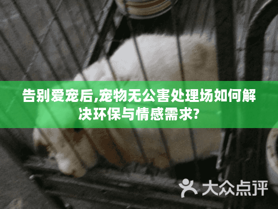 告别爱宠后,宠物无公害处理场如何解决环保与情感需求? 告别爱宠后,宠物无公害处理场如何解决环保与情感需求?