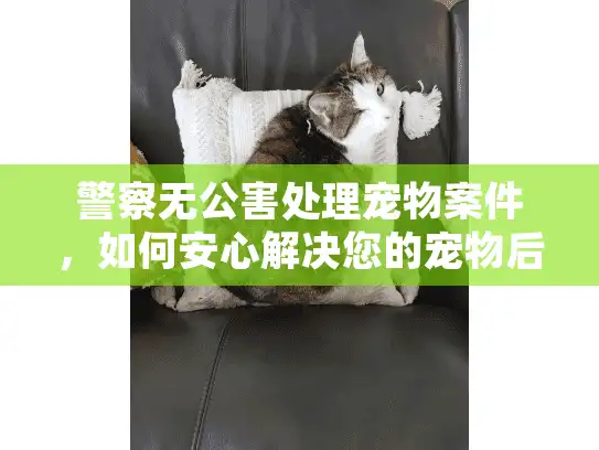 警察无公害处理宠物案件，如何安心解决您的宠物后事困扰