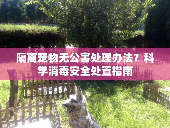 隔离宠物无公害处理办法？科学消毒安全处置指南