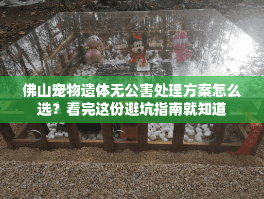 佛山宠物遗体无公害处理方案怎么选？看完这份避坑指南就知道