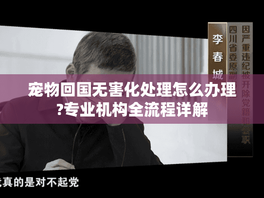 宠物回国无害化处理怎么办理?专业机构全流程详解