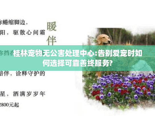 桂林宠物无公害处理中心:告别爱宠时如何选择可靠善终服务? 桂林宠物无公害处理中心:告别爱宠时如何选择可靠善终服务?