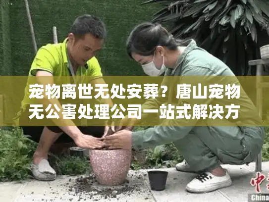 宠物离世无处安葬？唐山宠物无公害处理公司一站式解决方案