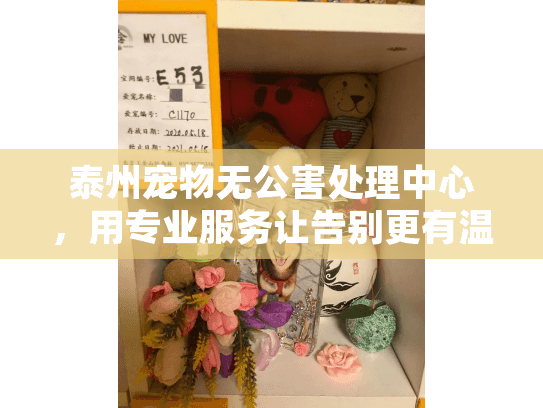 泰州宠物无公害处理中心，用专业服务让告别更有温度