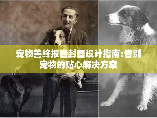 宠物善终报告封面设计指南:告别宠物的贴心解决方案 宠物善终报告封面设计指南:告别宠物的贴心解决方案
